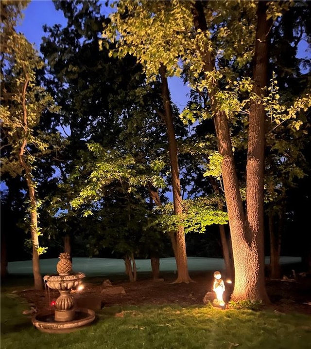 5316 NE Northgate Xing, Lees Summit, MO 64064 - view of yard