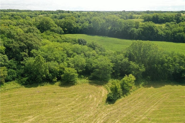 Brethren Church Rd NW, Plattsburg, MO 64477 - photo 7