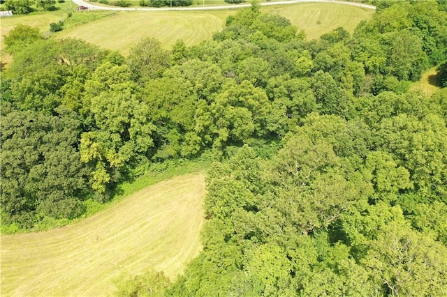 Brethren Church Rd NW, Plattsburg, MO 64477 - photo 15