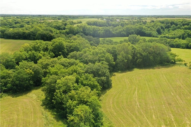 Brethren Church Rd NW, Plattsburg, MO 64477 - photo 16