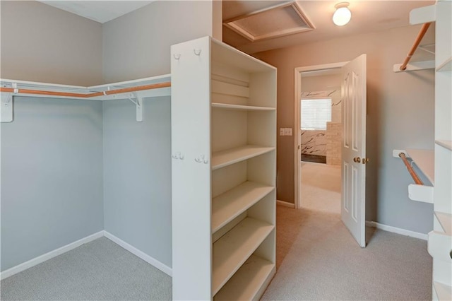 walk in closet with carpet floors and attic access