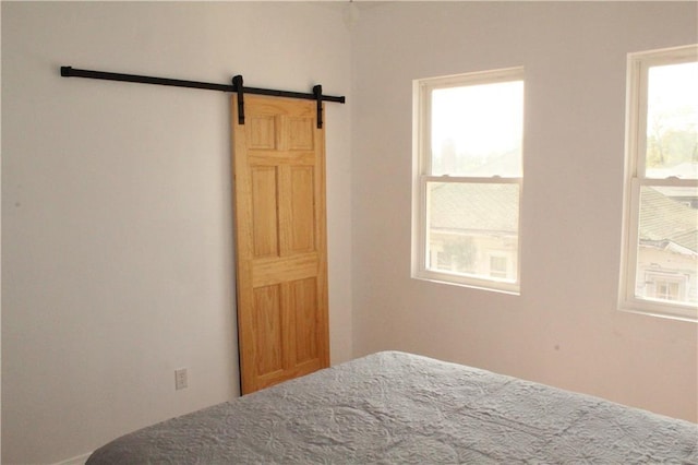 bedroom with a barn door