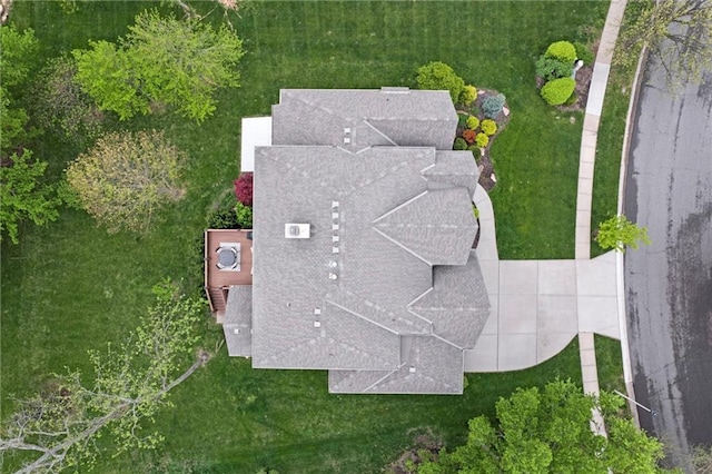 bird's eye view
