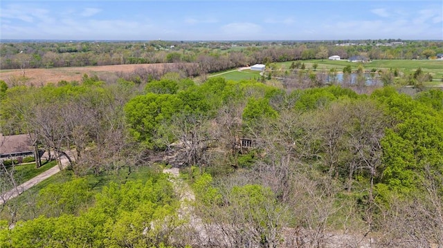 26208 S Southwood Rd, Harrisonville, MO 64701 - photo 51
