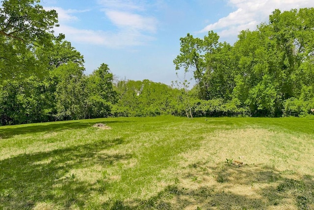 2308 NW 53rd Ter, Kansas City, MO 64151 - view of yard with a wooded view
