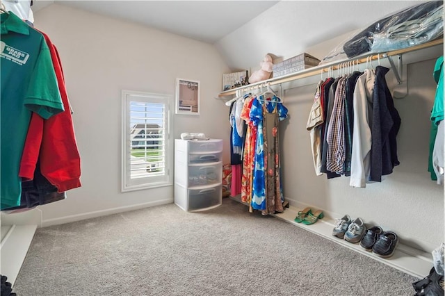 spacious closet featuring carpet flooring and vaulted ceiling