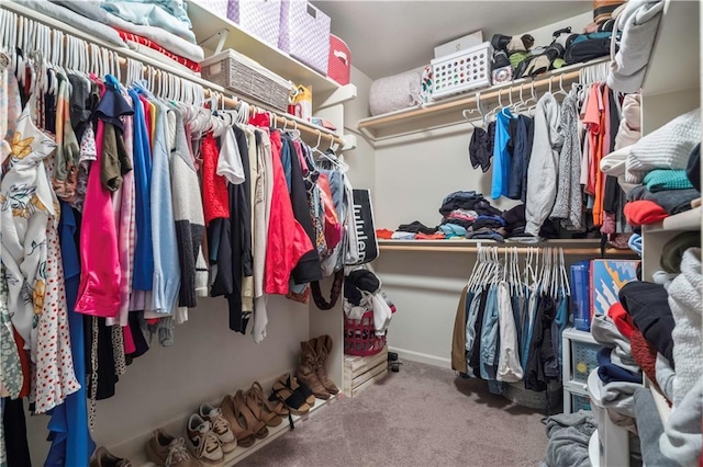 walk in closet with carpet floors