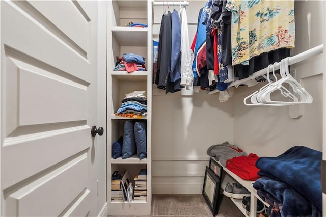 view of walk in closet