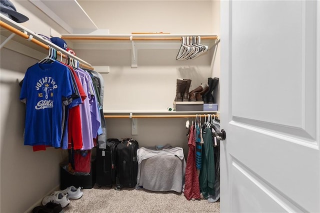 2118 NE 107th Ter, Kansas City, MO 64155 - walk in closet with carpet flooring