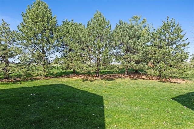 2118 NE 107th Ter, Kansas City, MO 64155 - view of yard
