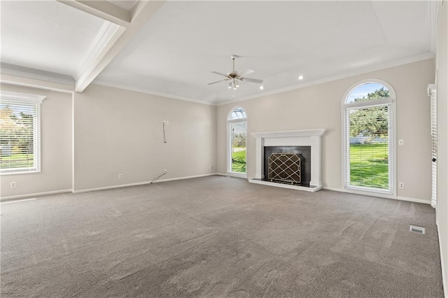 12314 England St, Overland Park, KS 66213 - unfurnished living room with plenty of natural light, carpet, and a ceiling fan