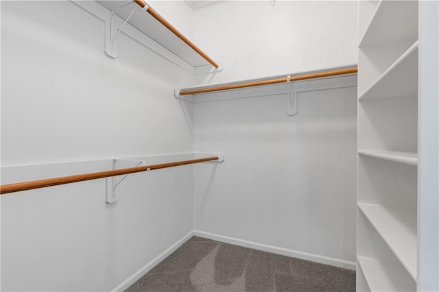 12314 England St, Overland Park, KS 66213 - spacious closet with carpet