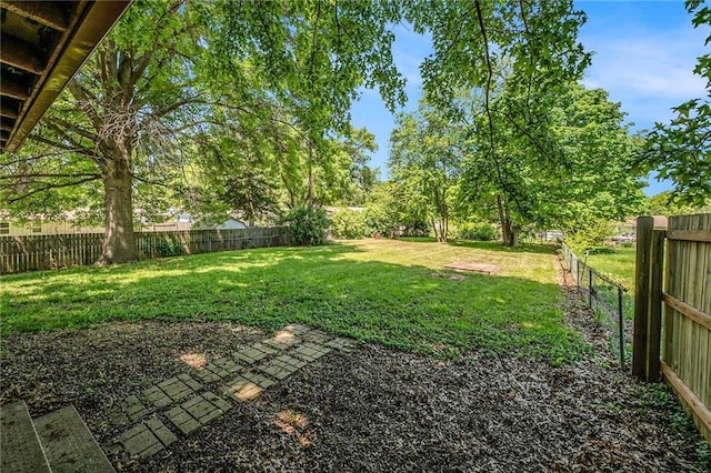 view of yard