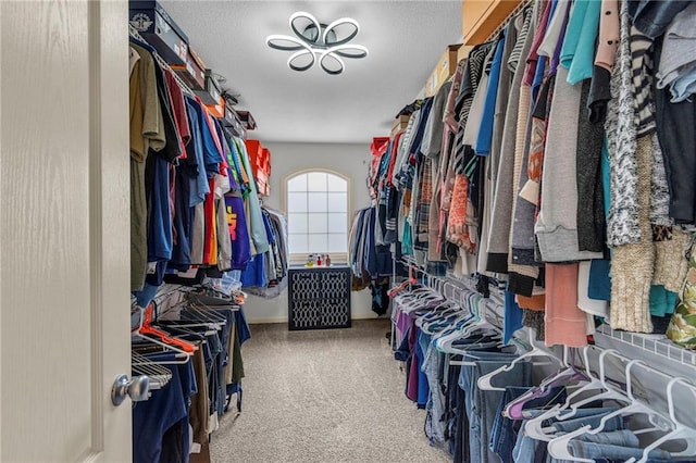 walk in closet featuring carpet floors