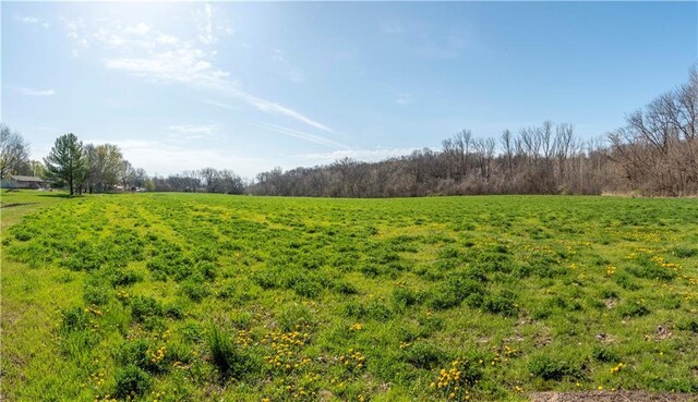 Chickadee Ct, Agency, MO 64401 - photo 8