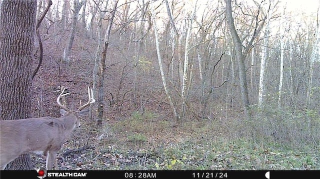Chickadee Ct, Agency, MO 64401 - photo 9