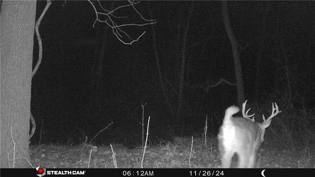 Chickadee Ct, Agency, MO 64401 - photo 10