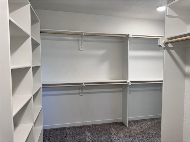 11432 S Langley St, Olathe, KS 66061 - spacious closet with dark carpet