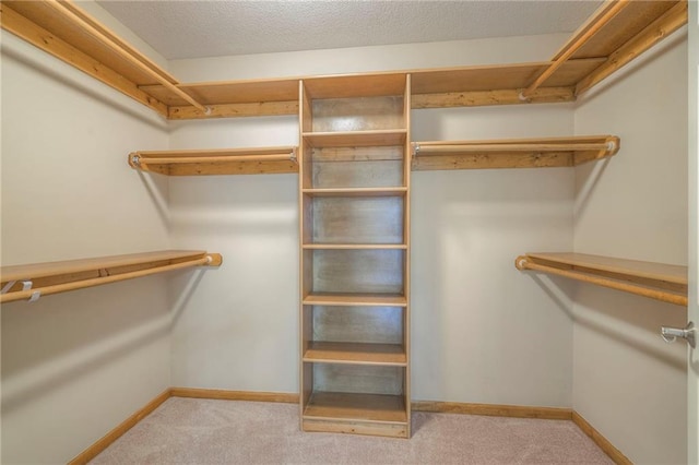 walk in closet featuring light carpet