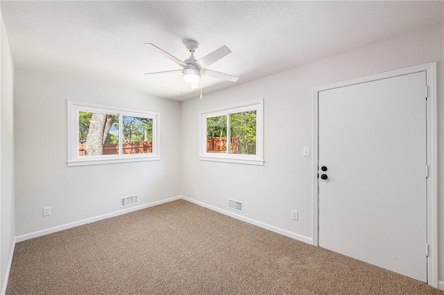 spare room with carpet flooring, healthy amount of natural light, ceiling fan, and a textured ceiling