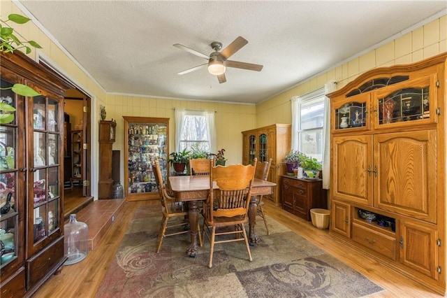 dining space featuring crown molding, light wood-style flooring, a ceiling fan, and a wealth of natural light