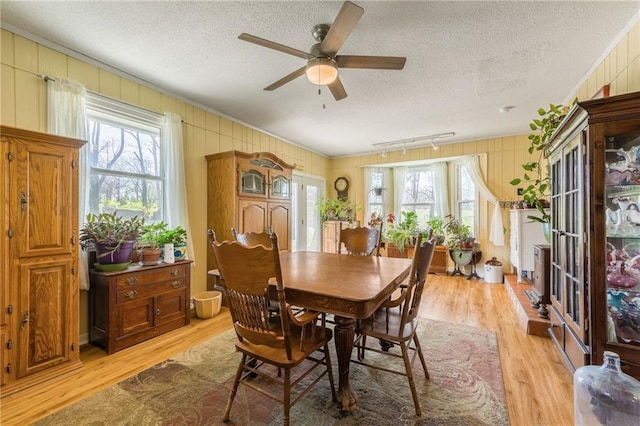dining space featuring a healthy amount of sunlight, ceiling fan, light wood-style floors, and a textured ceiling