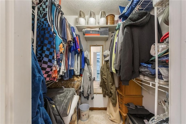 view of spacious closet