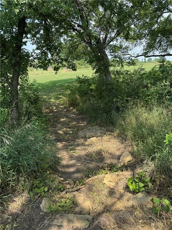 12301 S Stubbs Rd, Overbrook, KS 66524 - view of undeveloped land