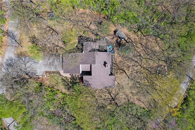 drone / aerial view