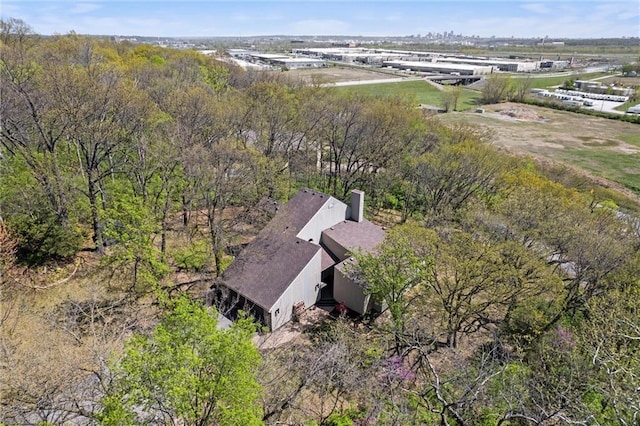 bird's eye view