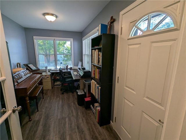 301 S 6th St, Hiawatha, KS 66434 - office area featuring a wealth of natural light and dark wood-style flooring