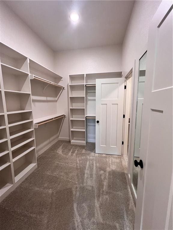 16372 Spring Valley St, Gardner, KS 66030 - walk in closet featuring carpet