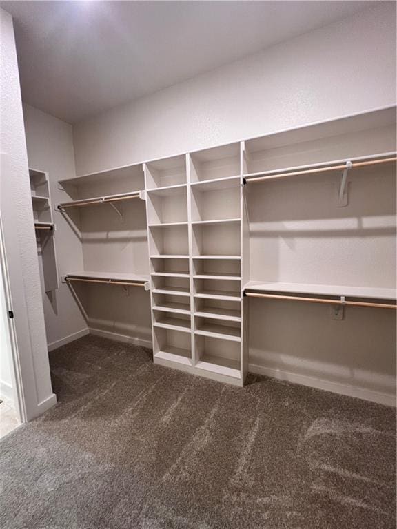 16372 Spring Valley St, Gardner, KS 66030 - walk in closet with dark colored carpet