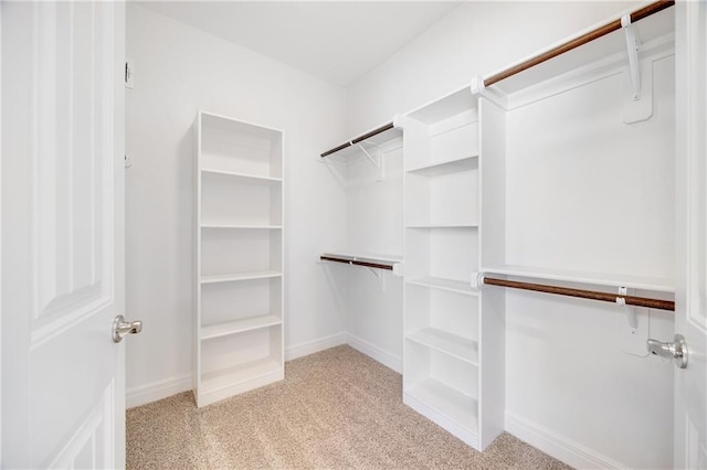 9335 N Belton Ave, Kansas City, MO 64154 - spacious closet with light colored carpet