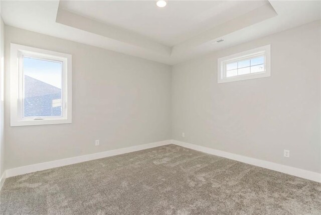 3217 SW Saddlebred Ter, Lees Summit, MO 64082 - carpeted spare room with a raised ceiling and baseboards