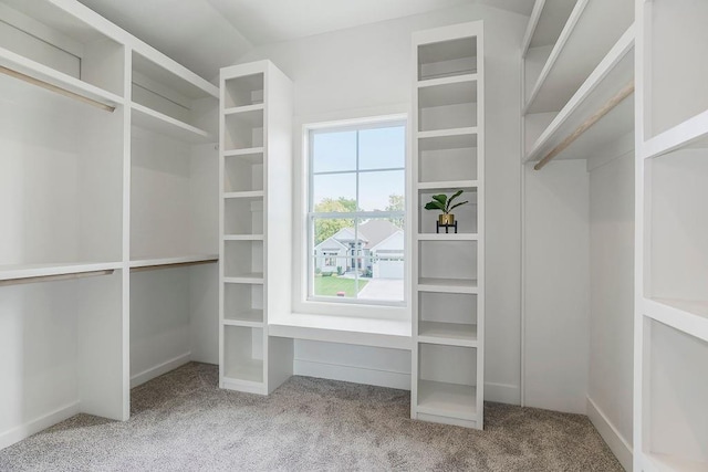 3141 SW Summit View Trl, Lees Summit, MO 64082 - spacious closet with carpet floors