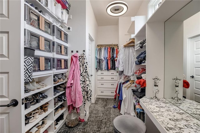 7530 N Gower Ave, Kansas City, MO 64151 - view of walk in closet