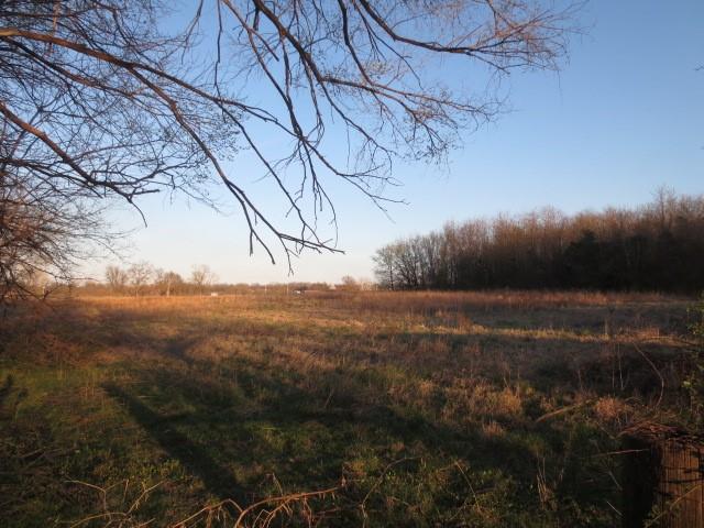 view of local wilderness featuring a rural view