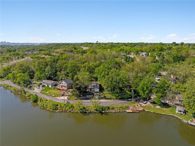 aerial view of a forest and a large body of water