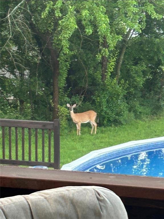 17200 Abby Ln, Tonganoxie, KS 66086 - view of swimming pool