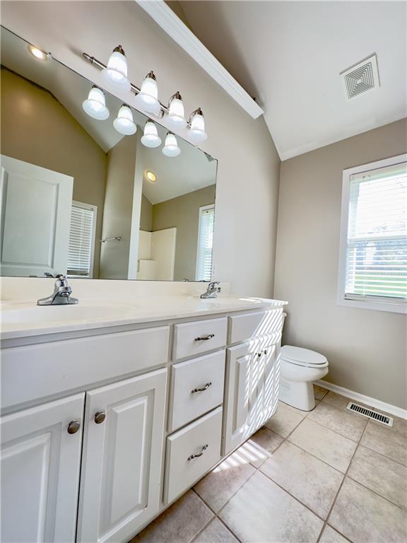 109 Deerfield Dr, Warrensburg, MO 64093 - bathroom with visible vents, a sink, and lofted ceiling