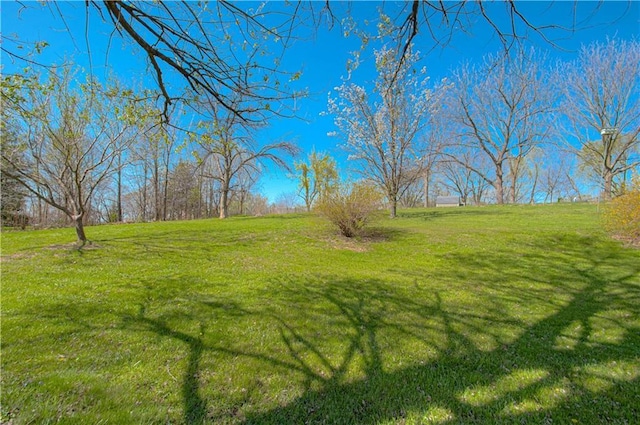 view of green lawn