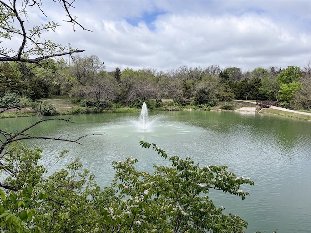 8016 Round Prairie St, Shawnee, KS 66220 - property view of water featuring a forest view