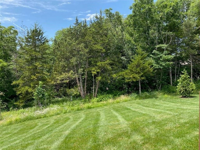420 NW Kaylea Ct, Lees Summit, MO 64081 - view of green lawn