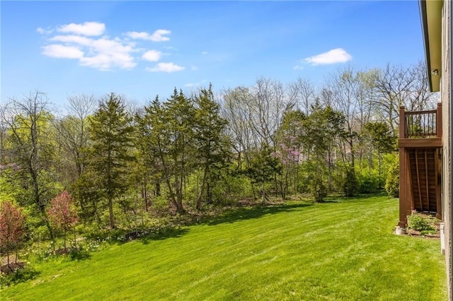 420 NW Kaylea Ct, Lees Summit, MO 64081 - view of green lawn
