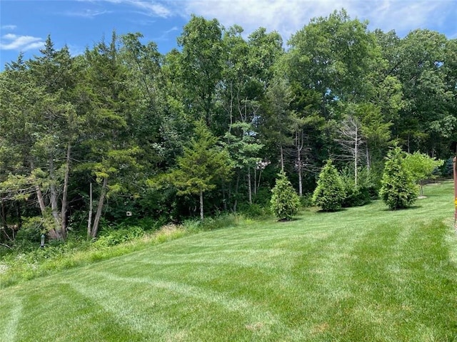 420 NW Kaylea Ct, Lees Summit, MO 64081 - view of green lawn