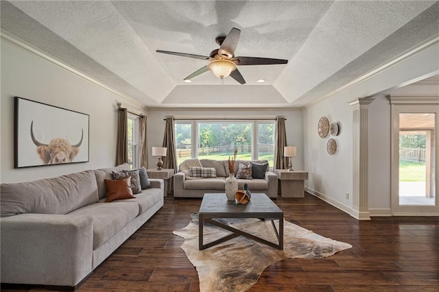 9015 Craig Dr, De Soto, KS 66018 - living room with a raised ceiling, a ceiling fan, a textured ceiling, wood-type flooring, and baseboards