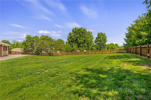 9015 Craig Dr, De Soto, KS 66018 - view of yard
