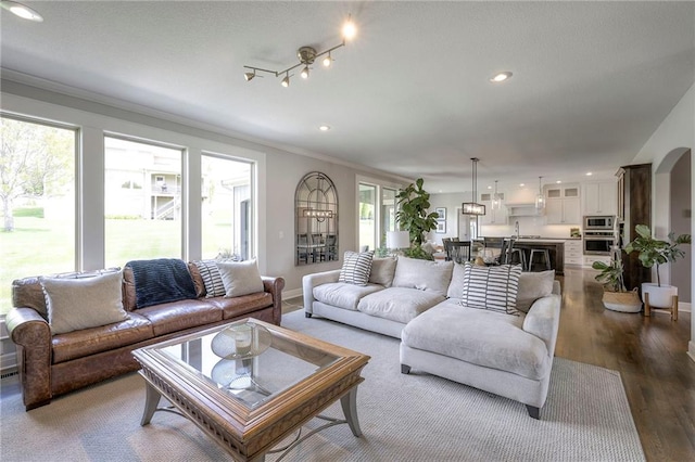 living area featuring ornamental molding, baseboards, dark wood-type flooring, and recessed lighting