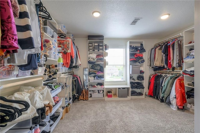 walk in closet featuring carpet flooring and visible vents
